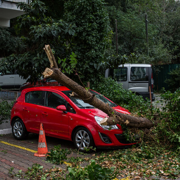 Tips para proteger tu carro ante un huracán