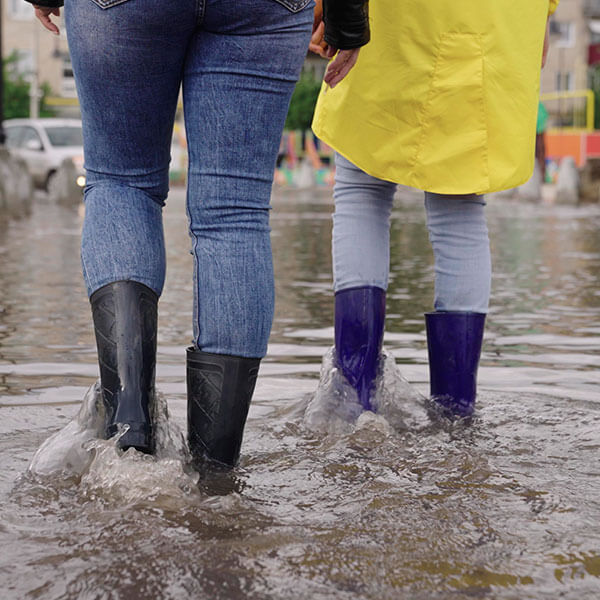 ¿Qué es la leptospirosis y cómo podemos evitarla?