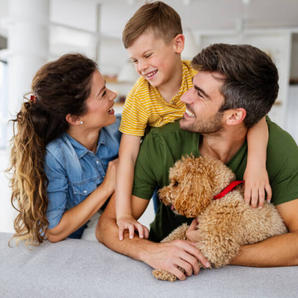 Preparing for a Hurricane