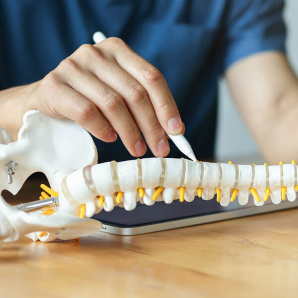 Chiropractors and posture: allies in musculoskeletal health