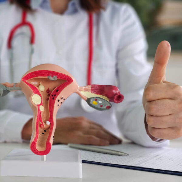 The Female Reproductive System: Stages and Preventive Care